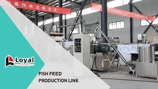 Ligne automatique de transformation d'aliments pour poissons WhatsApp：+8619953151411