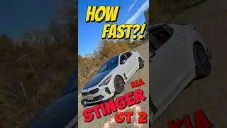 Насколько быстр Kia Stinger GT2?!