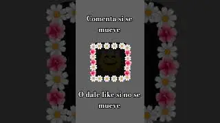 comenta