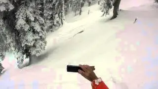 Skiers Encounter Leopard in Snow