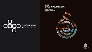 NAHS - Birds in Mount Zion [Soundteller Records]