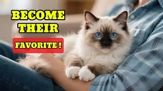 Is Your Cat Ignoring You? 5 Secrets to Becoming Their No.1 Human
