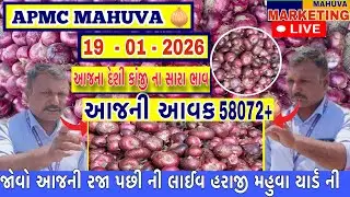 જોવો આજની લાલ ડુંગળી ની લાઈવ હરાજી | APMC MAHUVA | આજની આવક 58072+ થેલા આખી |