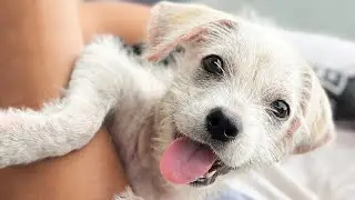 She Was Discarded as Worthless But Love Gave Her a Second Chance