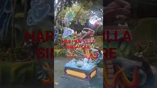 Har Paw Villa Singapore #highlights #asmp #trendingshorts