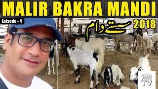 BAKRA MANDI Malir Karachi 2018 | Episode 4 | Video in URDU/HINDI