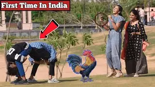 Funny Poses Prank on cute girls 😂(मुर्ग़ा Poses Prank) || Jaipur entertainment