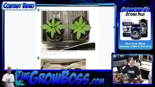 Grow Boss weekly Garden Review 10-25-2021