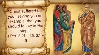 Homily on the Apostolic reading 1 Pet. 2:21 – 25, 3:1 – 9