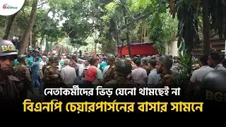 নেতাকর্মীদের ভিড় যেনো থামছেই না বিএনপি চেয়ারপার্সনের বাসার সামনে | BD Archive