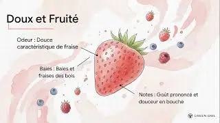 STRAWBERRY CBD : profil fruit&eacute; net, tri soign&eacute; & conformit&eacute; UE | Green Owl