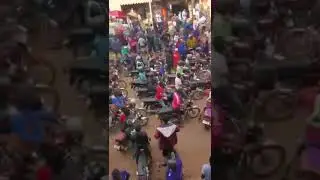 Allein skin in kiseka market today