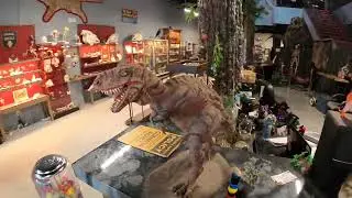 Museum and Oddity Shop Toronto ON