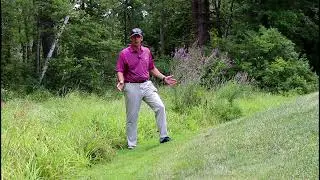 Dropping and the Ball Rolls Out Of The Relief Area