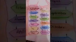📚✨ School Project | 12 Months Name | Month Names Chart for Kids ✨📚