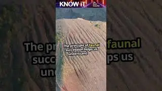 10 Fantastic Facts About Relative Dating (Geology) | KNOW iT
