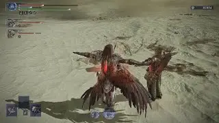 🐔二刀常夜フルゴール