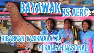 JUARA 2NASIONAL LOMBA RING : BAYAWAK KS AERC ASAL TASIK MONCER DI NASIONAL LAPAK KEBO PND !!!