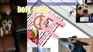 pofre.mov