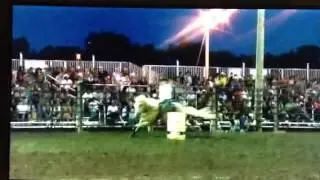 Buffalo rodeo