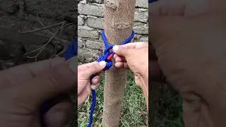 How To Tie A Noose Knot 👌_ Simple But Work Well