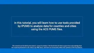 How to use tools provided by IPUMs to analyze data for counties and cities