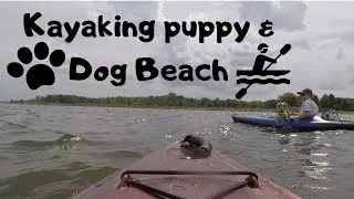 Dog Kayaking