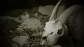 Unholy Impurity - Sas Raighinas 'e Su Dimoniu (demon's roots) Raw Official VIDEO