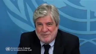 Jean Michel Arrighi on the Organization of American States