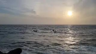 Beach boats moving peaceful video