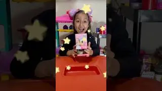 Inauguraci&oacute;n del espect&aacute;culo sorpresa de Diana
