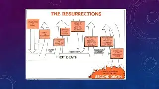 Revelation with Bob : Part 2