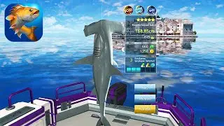 AKU MENANGKAP IKAN HIU HAMMERHEAD! Kail Pancing GAMEPLAY #4