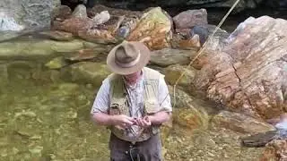 Fly Fishing Short - Yellowstone Prong The Blue Ridge Parkway