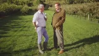 Thatchers Cider - Jonagold