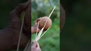 Amazing Coconut DIY with Rubber Bands | Creative Village Idea
