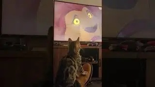 Sparkles the Kitten & me watching 