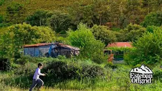 ДИКАЯ ПРИРОДА в нашем доме без электросети! | Котята, птицы и стервятники