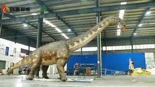 Zigong Chuangying Intelligent Animatronic Dinosaur Wintonotitan