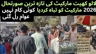 Lalukhet Sunday Birds Market Latest Update 11 Jan 26| Complete Information Sunday Market| Asif Birds