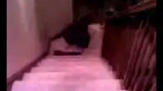 Slip and slide on stairs