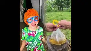 🤣😜😜👌👌👌2026 pov Must-Watch Crazy Clips Compilation #humor #fypシ #pov #fyp #foryou 😍😜