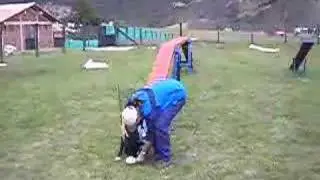 Bala Colombia 1