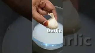 How to use Rice water & Garlic as pesticide for plants