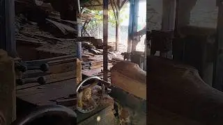 Top artist door frame materials 2 #woodworking #teakwood #bandsaw #sawmill #viralshorts