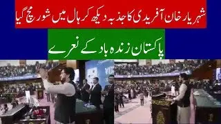 MNA Sheryar Afridi latest | Top3s