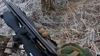 Hunting for roe deer in Norway Jakt etter r&aring;dyr i Norge