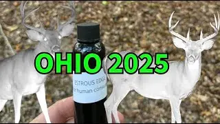 OHIO 2025 (Part 1)