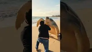 large tortoise sea waves #sea #tortoise #large #waves #beach #viral
