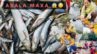 YETI DHERAI ORGANIC ASALA MAXA..😱🤤